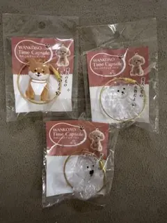 わんこのタイムカプセル　愛犬の毛　キーホルダー　ガチャガチャ　カプセルトイ