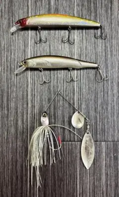 ⭐︎ 春の琵琶湖必需品‼︎ ルアー3点SET ⭐︎