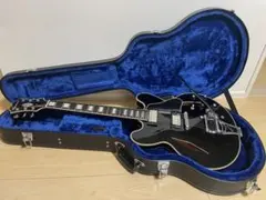 2025年最新】EPIPHONE ES 355の人気アイテム - メルカリ