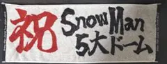 Snow Man 5大ドーム TOUR 2024 RAYS タオル
