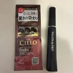 살롱 드 프로 그레이 헤어 하이딩 엑스 시에로 컬러 트리트먼트