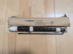 Item thumbnail for item 0053daf1-39e5-41bf-b1df-afbeaaea72df