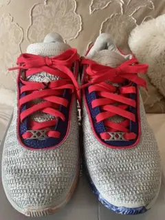 人気 ！Nike Lebron XX バスケットシューズ