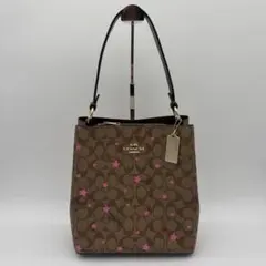 極美品✨希少 コーチ シグネチャー PVCレザー トートバッグ ショルダー