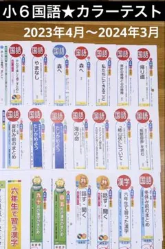 2025年最新】カラーテスト 6年 国語の人気アイテム - メルカリ