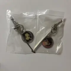 鬼滅の刃 コレクションチャーム ビッグ 胡蝶しのぶ　栗花落カナヲ