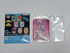 僕のヒーローアカデミア 一番くじ G賞