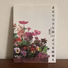 まるで小さな庭のような鉢植え : Container gardening