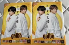 中島健人　菊池風磨　ガルボ　ファイル2枚