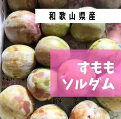 スモモ 大石早生 約2kg 低農薬 ご家庭用 クール便(着払い)発送のサムネイル