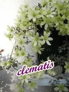 とし ※プロフご覧くださいませ様 リクエスト 2点 まとめ商品