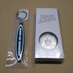 2026年最新】silver jubilee bumpofchickenの人気アイテム - メルカリ