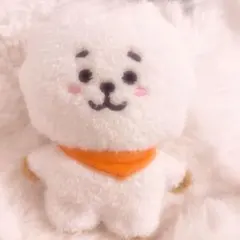 LINE Friends BT21 たっとん　ぬいぐるみ S RJ