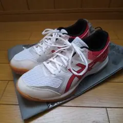 ASICS indoor shoes for volleyball and badminton, size 27.