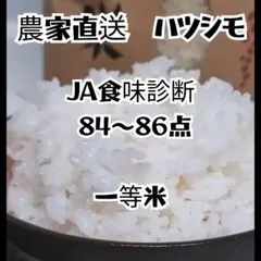 岐阜県揖斐郡谷汲産 2025年度 ハツシモ 20kg - メルカリ
