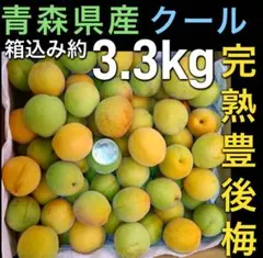 8.青森県産　豊後梅　L.2Lサイズ混ざり 箱込み約3.3kg