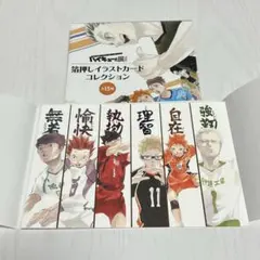 ハイキュー 箔押しカード ミドルブロッカー