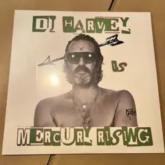 レア! 光風GREEN MASSIVE DUB レコード レゲエ 期間限定販売 - メルカリ
