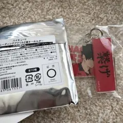 ハイキュー!! トレーディングアクリル2連キーホルダー 黒尾鉄朗