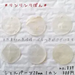 837【天然　シェルチャーム】ホワイト  シェル