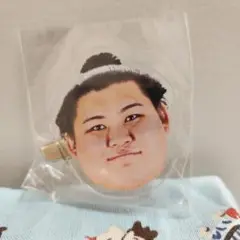 大の里　お相撲さんのフェイスヘアピン　大相撲ガチャ