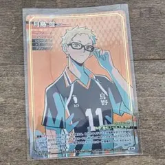ハイキュー バボカ ユース＆選抜強化合宿 月島蛍 SA - メルカリ