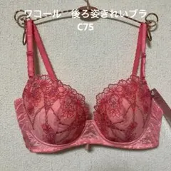 Item thumbnail for item 0aed5cd5-b563-4ae3-b02a-0504a8f9e7da