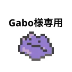 Gabo様 リクエスト 3点 まとめ商品