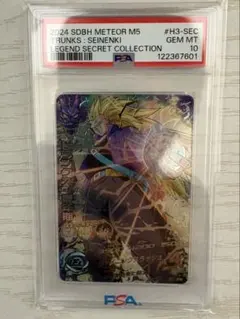 2026年最新】H3-SEC トランクス psa10の人気アイテム - メルカリ