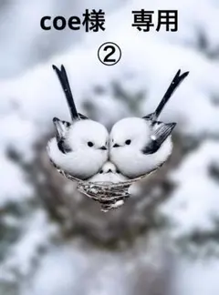coe様　専用②