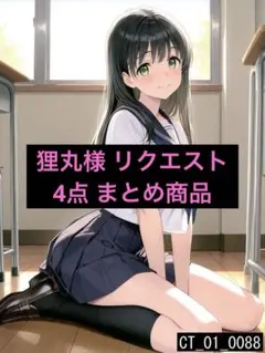 狸丸様 リクエスト 4点 まとめ商品