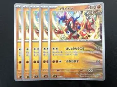 コライドン　はじょうもうこう　5枚