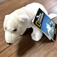 National Geographic ホッキョクグマ ぬいぐるみ