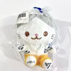 2025年最新】seventeen エスクプス ぬいぐるみの人気アイテム