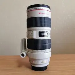 Item thumbnail for item 0e59fa97-1e13-4702-a37f-aa36411ebd0d