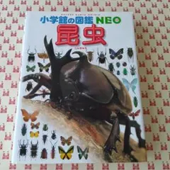 小学校の図鑑NEO 昆虫