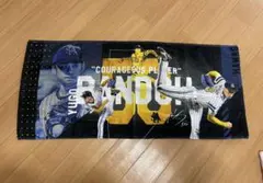 Item thumbnail for item b6beacf7-fe90-4381-b6f4-bc76fca7d646