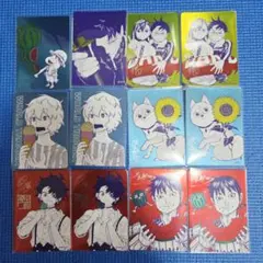 テニスの王子様 ダブルスの王子様 特典 缶バッジコレクション テニプリ