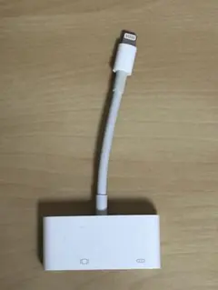 Apple純正　DGV変換ケーブル