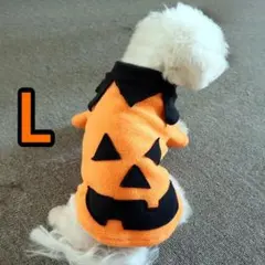 Item thumbnail for item 3fc15b82-4ce6-4829-a821-b2c317cc96e7