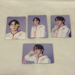 原因は自分にある。文藝解体新書 小泉光咲盤 トレカ　コンプリート