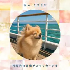 モモ様 リクエスト 3点 まとめ商品