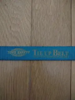 TOYO SAFETY TIE UP BELT 　荷締機