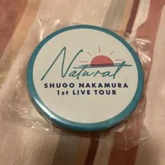 仲村宗悟　フレークシール