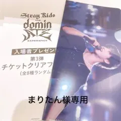 Stray Kids dominATE 入場者特典チケットクリアファイル ハン