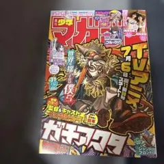 週刊少年マガジン 2025年7月16日号 第31号