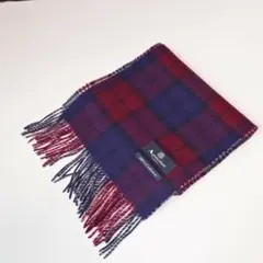 アクアスキュータム マフラー