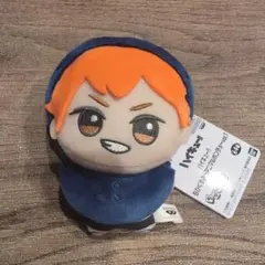 ハイキュー!! ちびぐるみ アニマルポンチョ vol.1 日向翔陽