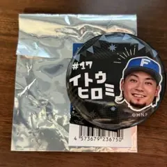 日ハム カタカナシリーズ 缶バッジ 野村佑希② | Mercari