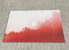 映画「落下の王国」パンフレット